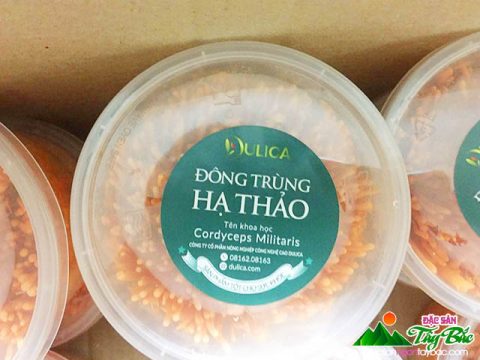 Đông Trùng Hạ Thảo Và Những Lưu Ý Khi Sử Dụng