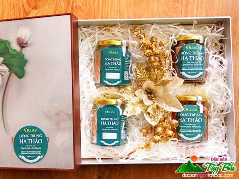 Tác Dụng Của Đông Trùng Hạ Thảo Với Bệnh Tiểu Đường