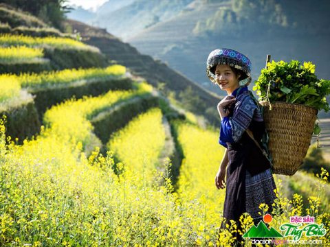 6 loại gạo, nếp Tây Bắc ăn ngon “quên lối về”