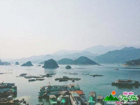 Kinh nghiệm du lịch Thung Nai khám phá trọn vẹn từ A-Z