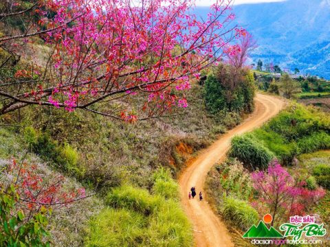 Ăn tết của người Tây Bắc có gì đặc biệt?