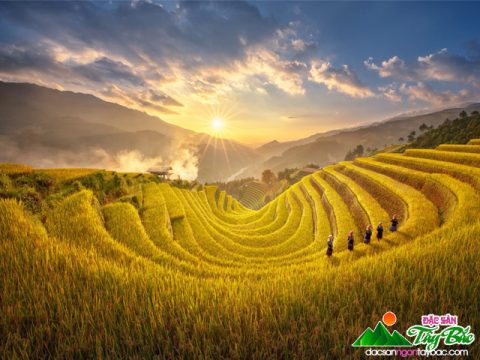 Sapa mùa thu – Vẻ đẹp bất tận