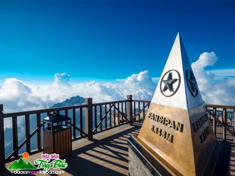 Những địa điểm du lịch tuyệt đẹp trên đỉnh Fansipan