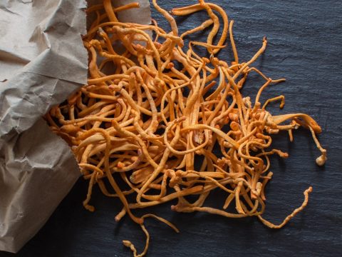 Công dụng của Kẽm đối với cơ thể
