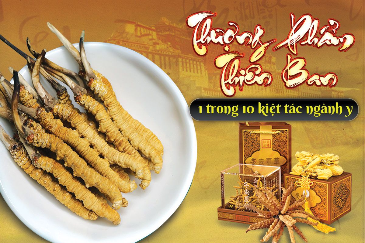 tac-dung-cua-dong-trung-ha-thao