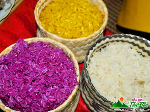 ? Gạo nếp Tú Lệ – Đặc sản Yên Bái thơm ngon