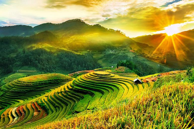 mu-cang-chai-mua-lua-chin-tay-bac