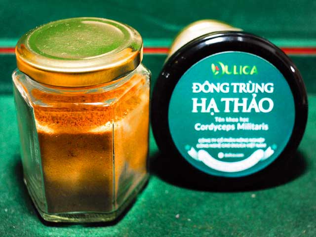 dong-trung-ha-thao-dulica-ha-noi-tang-cung-tri-nho