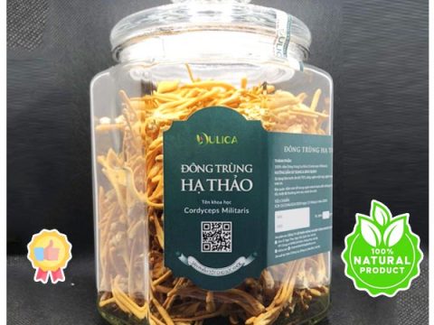 Uống đông trùng hạ thảo trong bao lâu để có hiệu quả tốt?