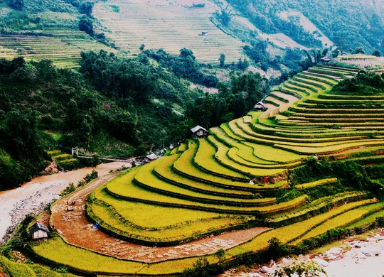 san-anh-dep-kham-pha-lua-chin-tay-bac
