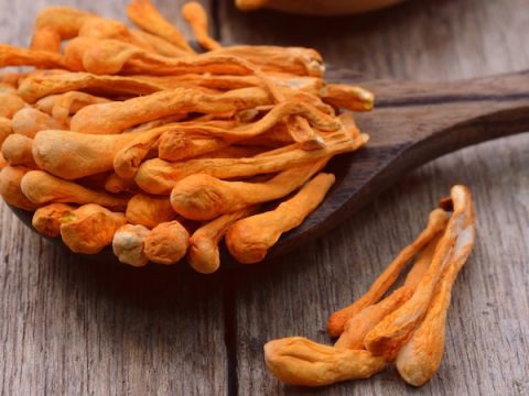 Đông trùng hạ thảo sấy thăng hoa là gì? Dùng có tốt không?