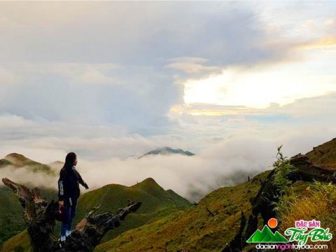 Tà Chì Nhù – Điểm cưỡi gió săn mây cực đẹp