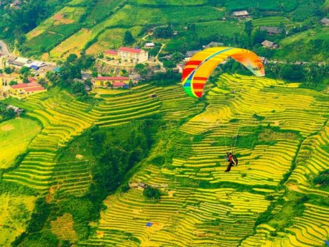 Ghé Mù Căng Chải bay dù ngắm lúa chín