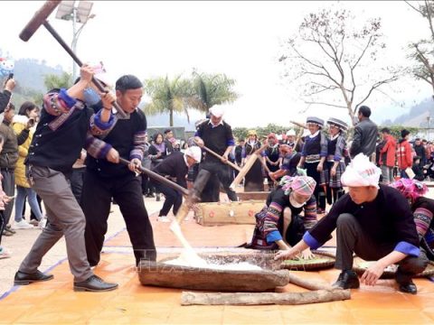 Độc đáo Lễ hội giã bánh dày ở vùng cao Mù Cang Chải