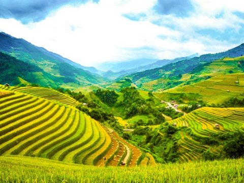 5 gợi ý cho chuyến đi Mù Cang Chải trọn vẹn