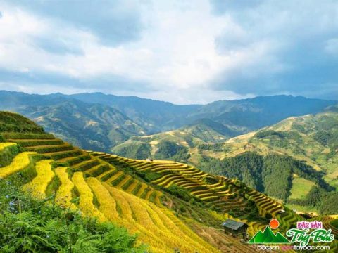 Hé lộ Review Tú Lệ – Yên Bái không thể bỏ lỡ