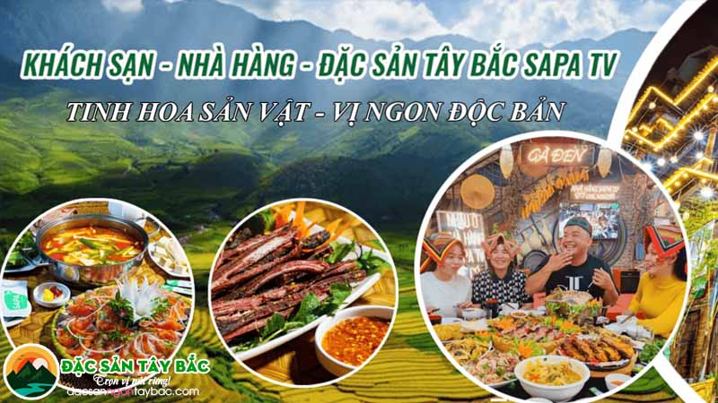 Tìm hiểu về thương hiệu sapa tv