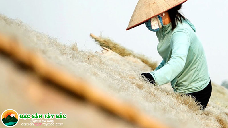 định hướng phát triển của miến Tây Bắc - miến việt nam trong tương lai