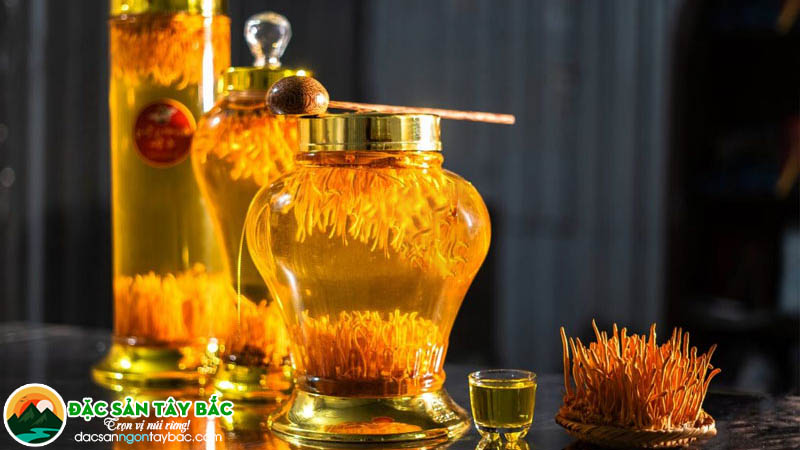 Hướng dẫn cách ngâm rượu với Đông trùng thảo đơn giản và bổ dưỡng