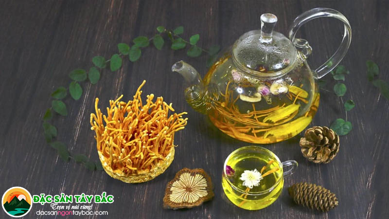 Hướng dẫn cách pha trà đông trùng hạ thảo