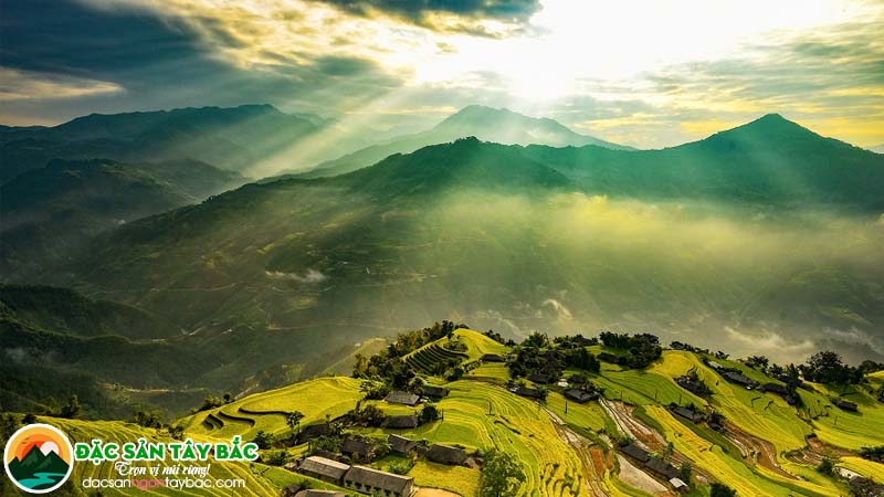 Chìm đắm ở Hà Giang mùa lúa chín vàng rực