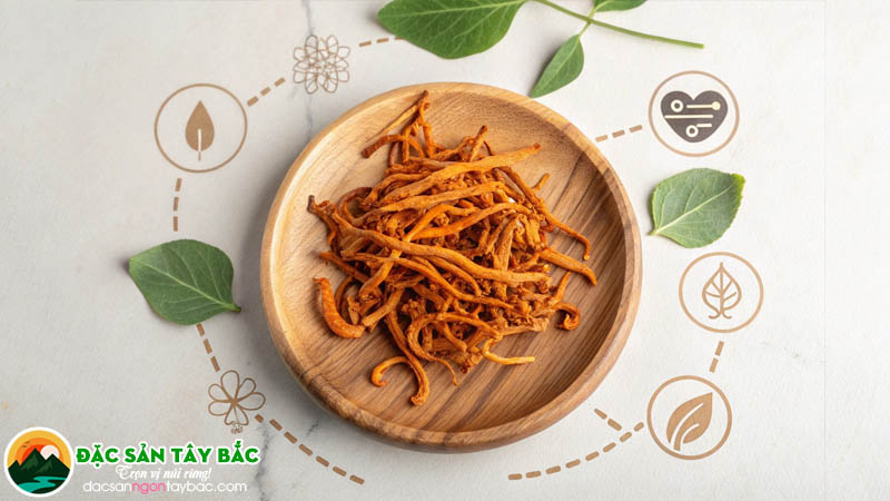 đông trùng hạ thảo Hỗ trợ giảm căng thẳng và cải thiện tinh thần