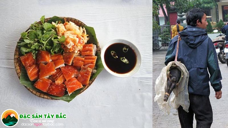 Lợn cắp nách – Đặc sản nổi tiếng của núi rừng Tây Bắc