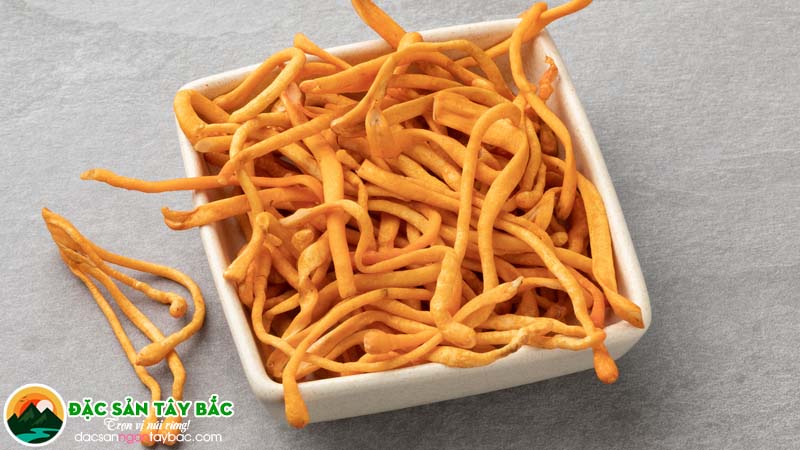 Đông trùng Hạ thảo – Dược liệu quý được nhiều người tìm mua