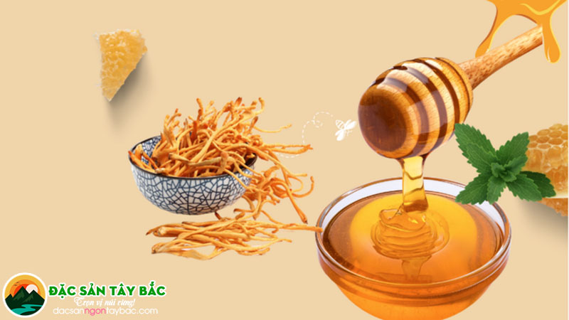 sản phẩm đông trùng thảo tại TP HCM có thể ngâm mật ong rất tốt