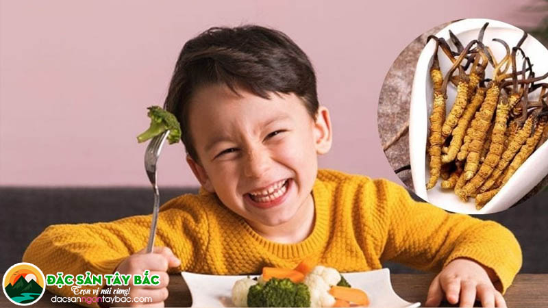 Tác dụng tích cực của đông trùng thảo đối với trẻ