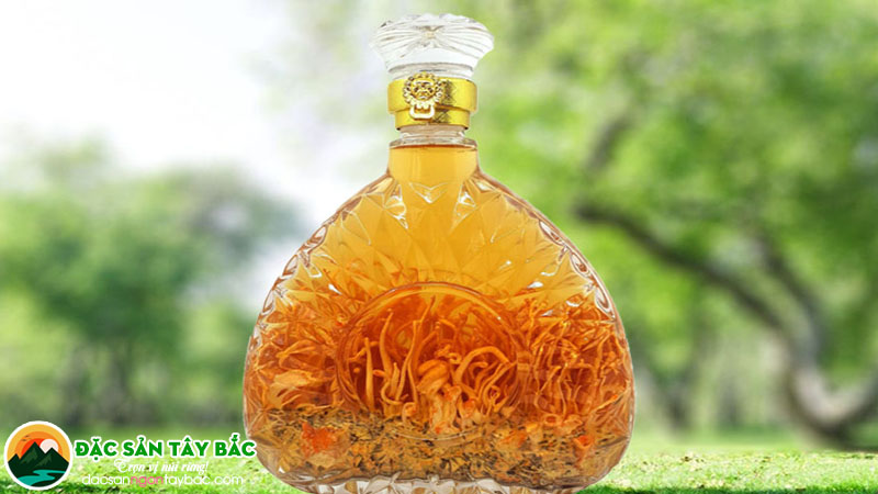 tác dụng của rượu đông trùng hạ thảo không tốt cho những đối tượng này