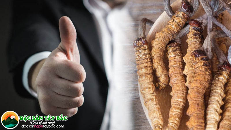 Top 10 tác dụng của đông trùng hạ thảo nổi bật cho sức khỏe