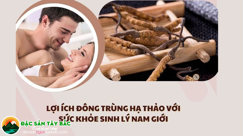 Y học đã công nhận khả năng tăng cường sức khỏe cho cánh mày râu
