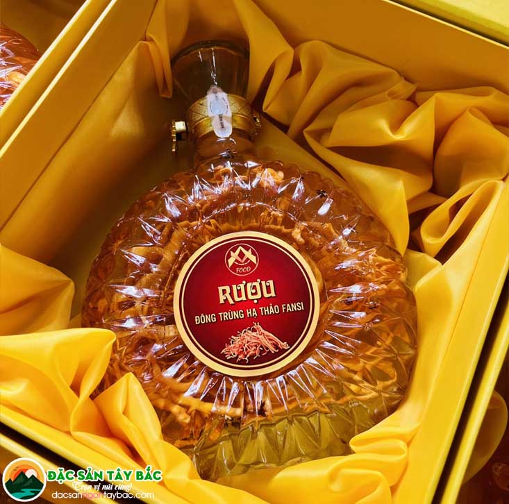 Cách sử dụng rượu Đông trùng hạ thảo