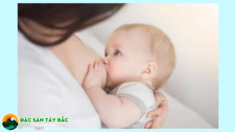 Người đang cho con bú hoàn toàn dùng được đông trùng thảo
