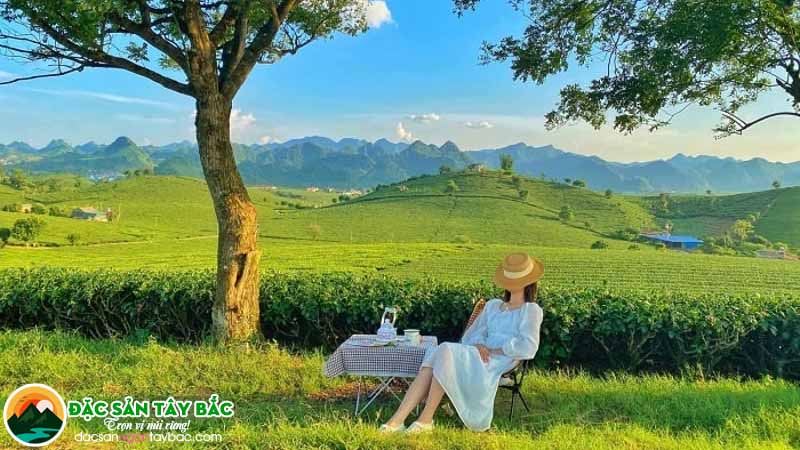 Mộc Châu – Mùa mận chín giữa cao nguyên xanh, điểm đến tháng 6 đi du lịch ở đâu miền Bắc tuyệt đẹp