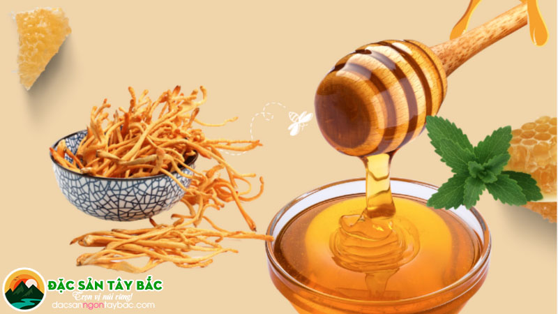 Cách ngâm hạ thảo đông trùng đảm bảo an toàn và chất lượng tốt nhất