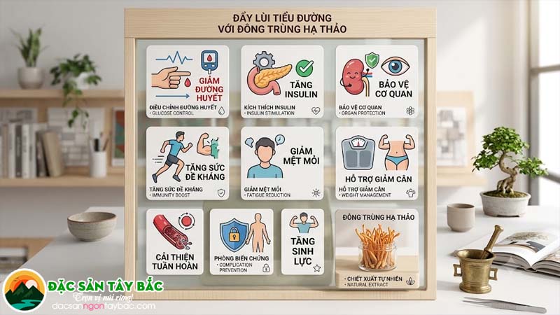 các hoạt chất có khả năng hỗ trợ điều hòa chuyển hóa glucose, chống oxy hóa và giảm phản ứng viêm